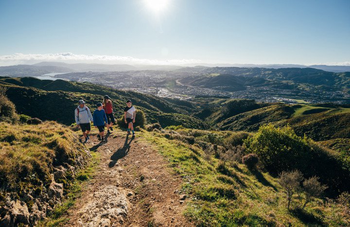 Family-walking-on-Colonial-Knob-in-Porirua__FocusFillWzcyMCw0NjgsInkiLDVd.jpg