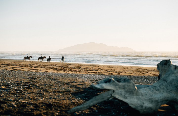 Horseriding-on-Otaki-Beach__FocusFillWzcyMCw0NjgsInkiLDVd.jpg